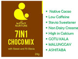 MOTHER NURTURE MALUNGGAY CHOCO MIX