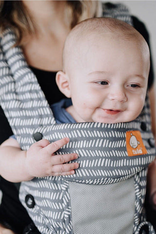 Tula explore sales coast baby carrier